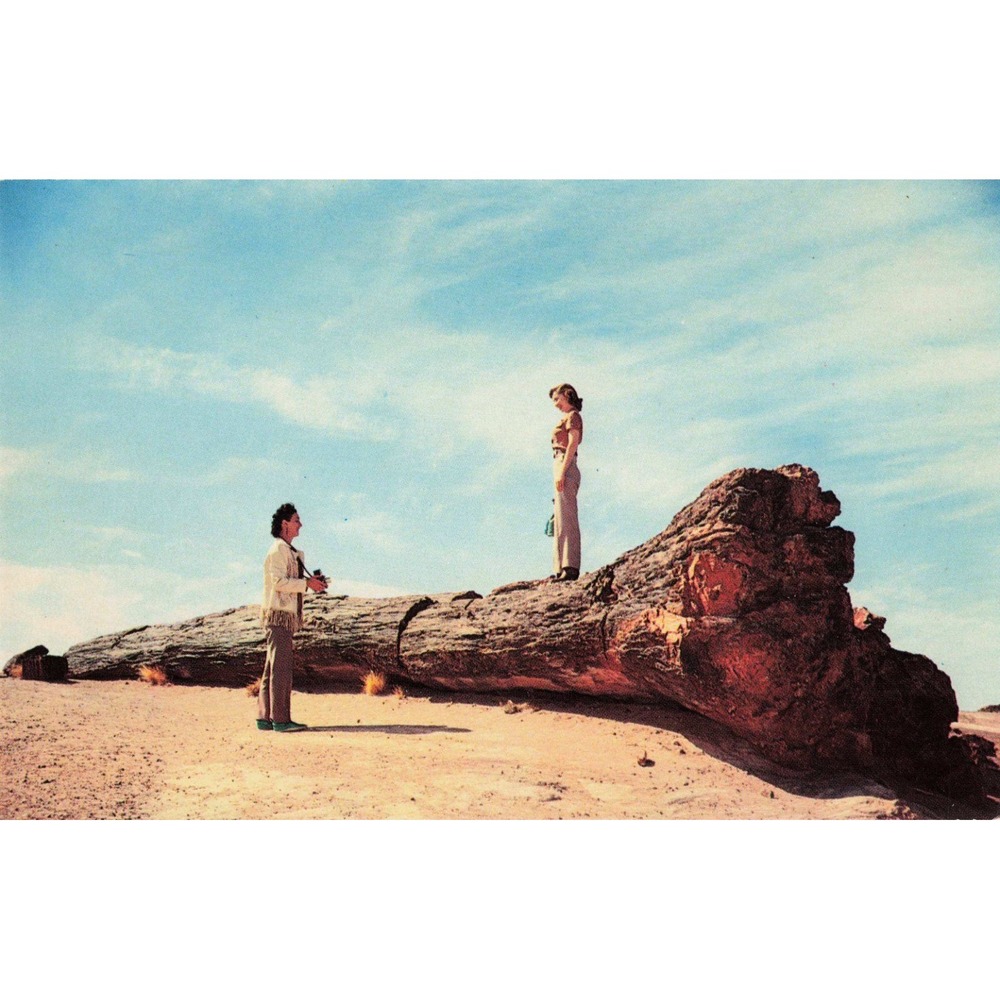 Petrified Forest National Monument Old Faithful Rainbow Forest Postcard P32066